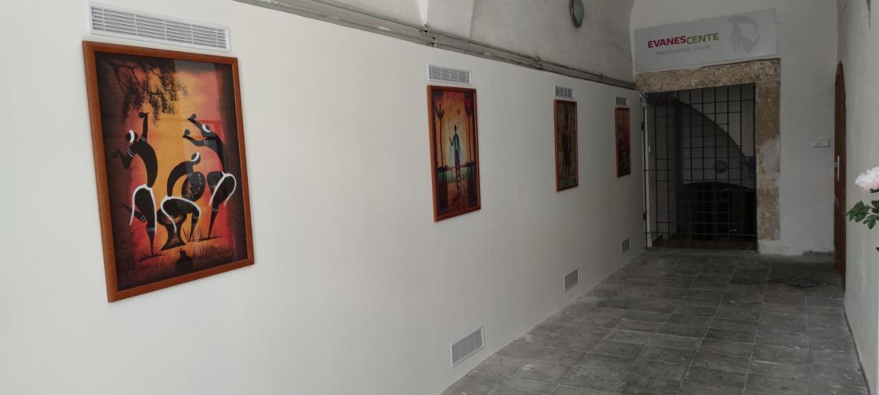 Judia Daire Litomyšl Dış mekan fotoğraf